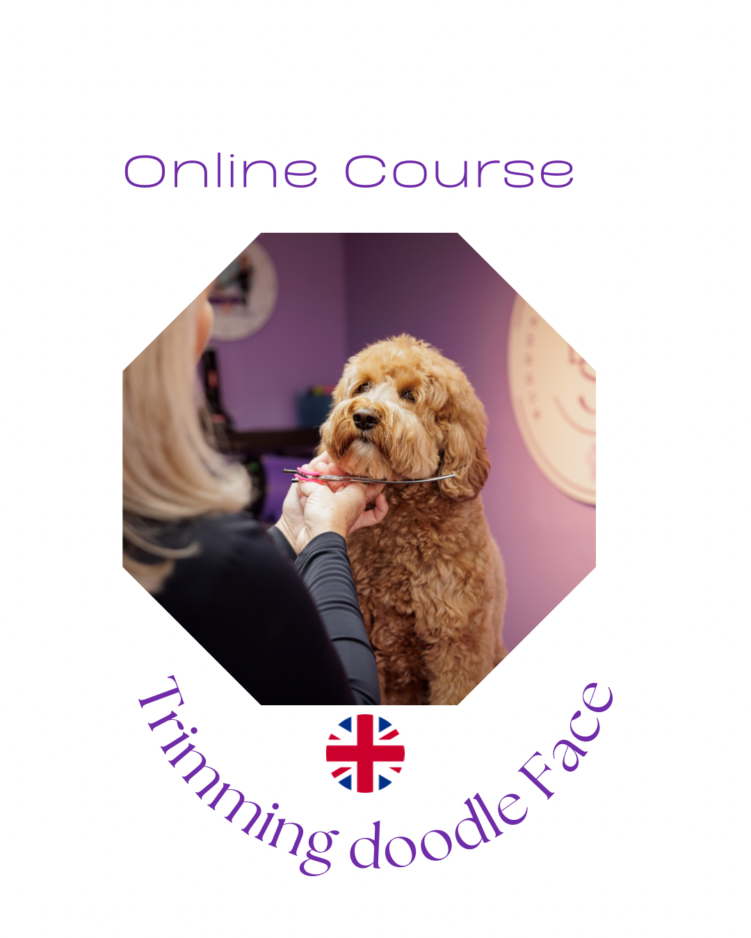 Online Course - Trimming doodle face