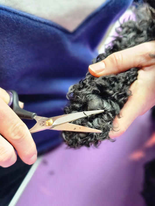 Young line Potenschaartje 5.25 inch