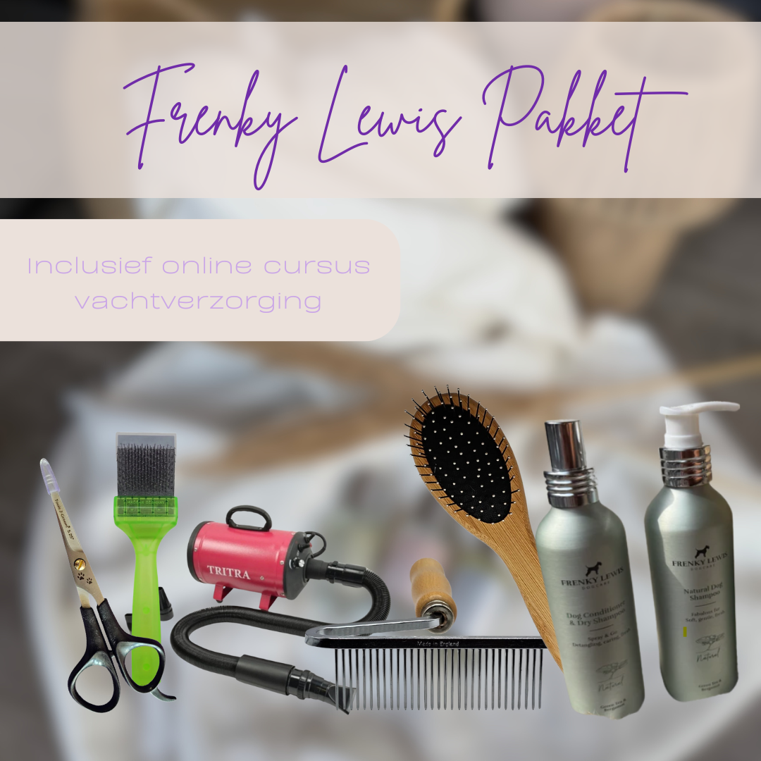 Frenky Lewis Doodle Pakket