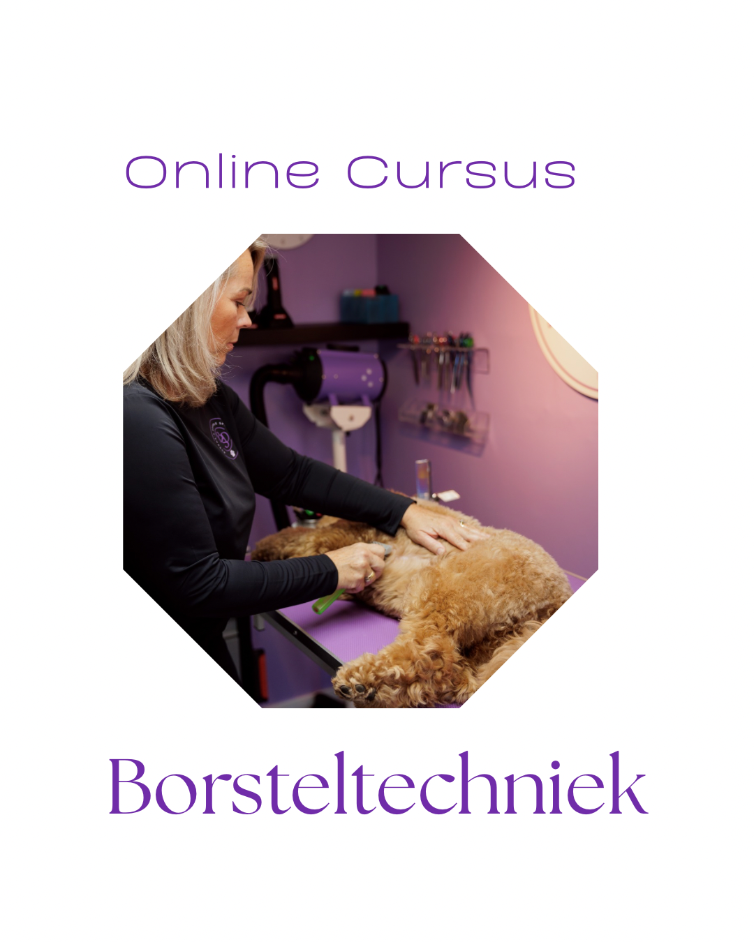 Online Cursus Borsteltechniek