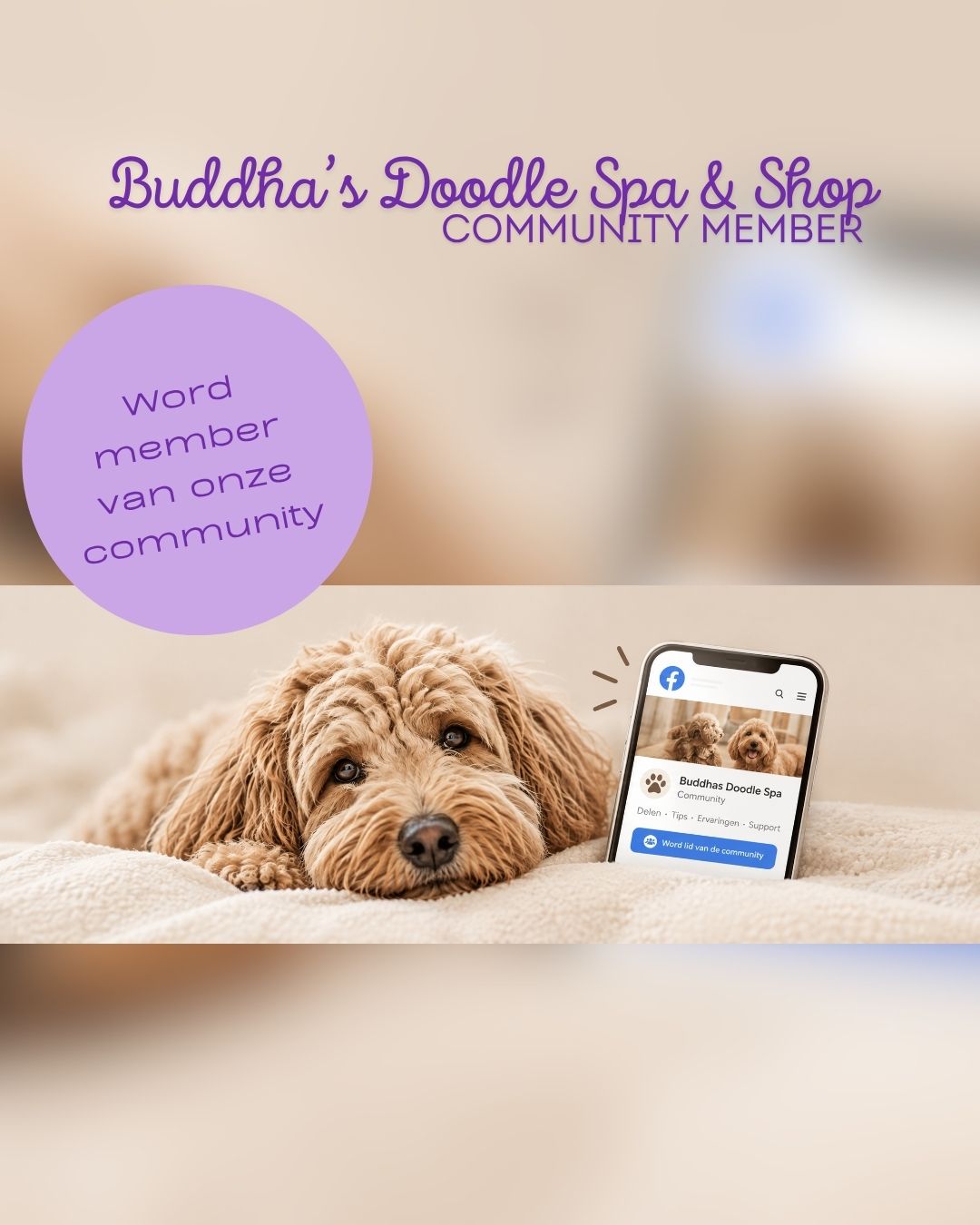 Buddha's Doodle Community op Facebook