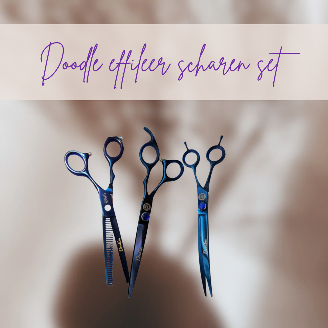 Doodle-Scheren-Ausdünnset