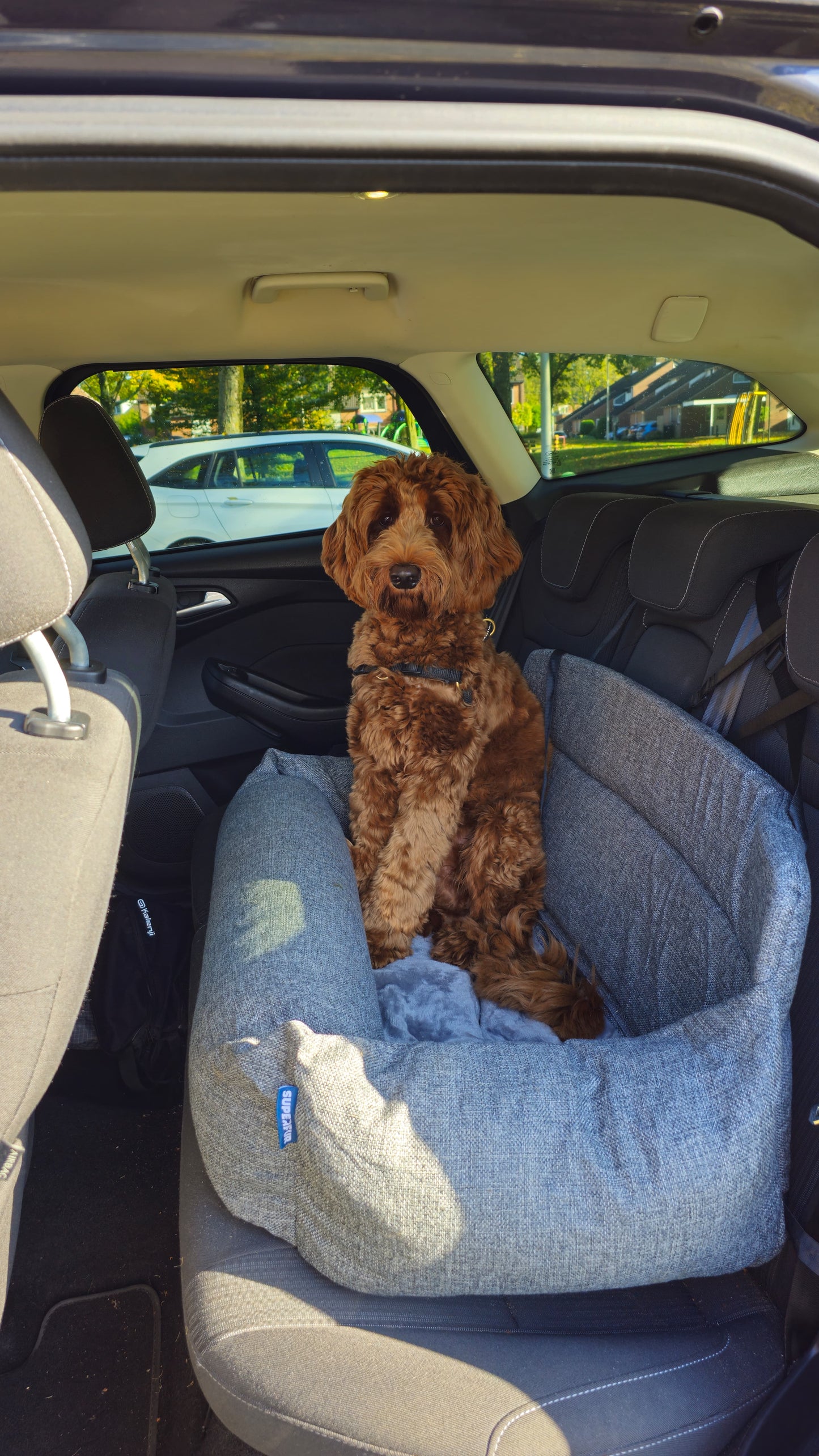 Honden Autostoel donkergrijs maat L