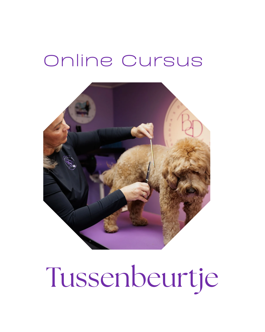 Online Course Interim Turn