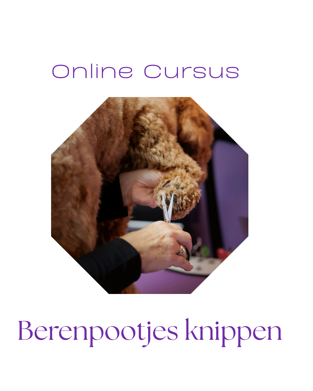 Online Cursus | Berenpootjes knippen