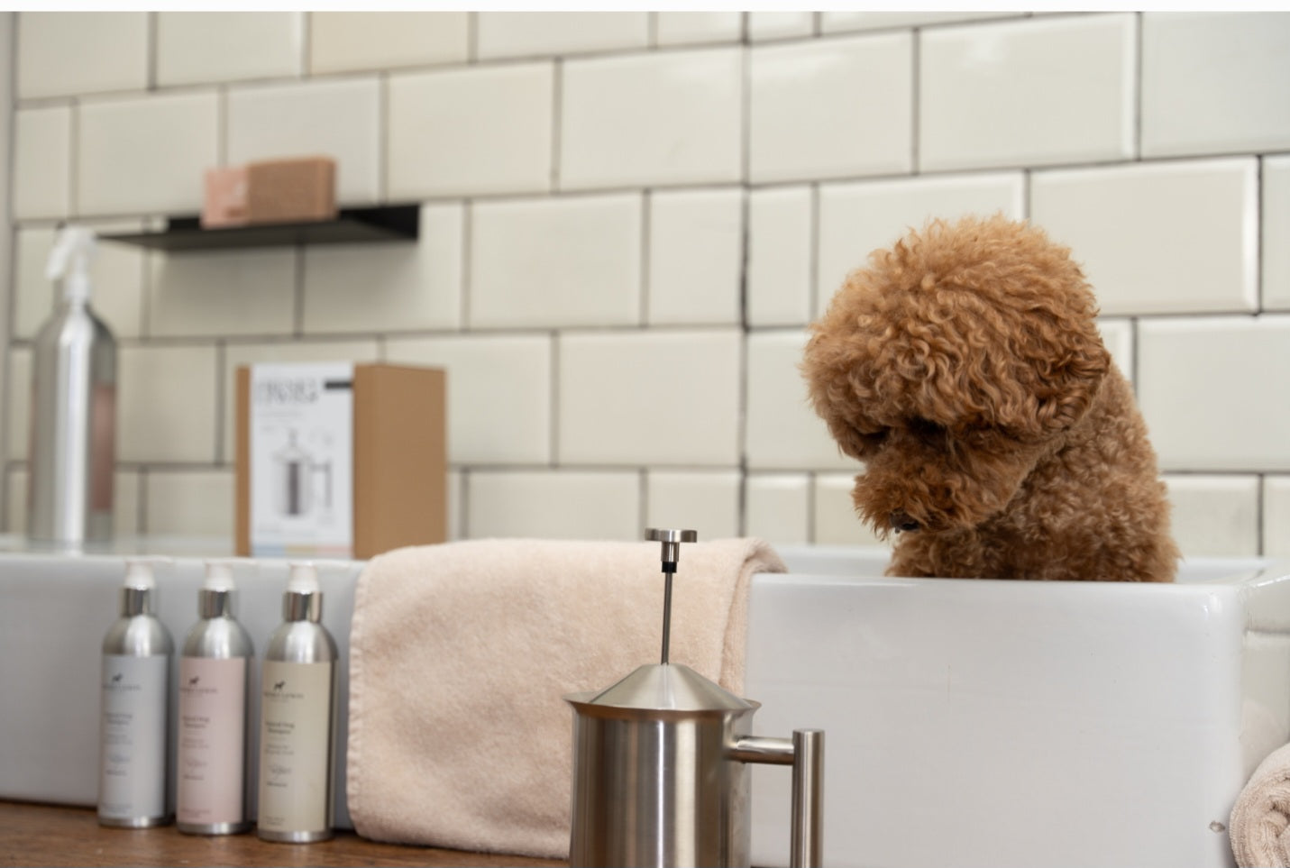 RVS Shampoo Foamer | Minder Shampoo, Meer Schuim