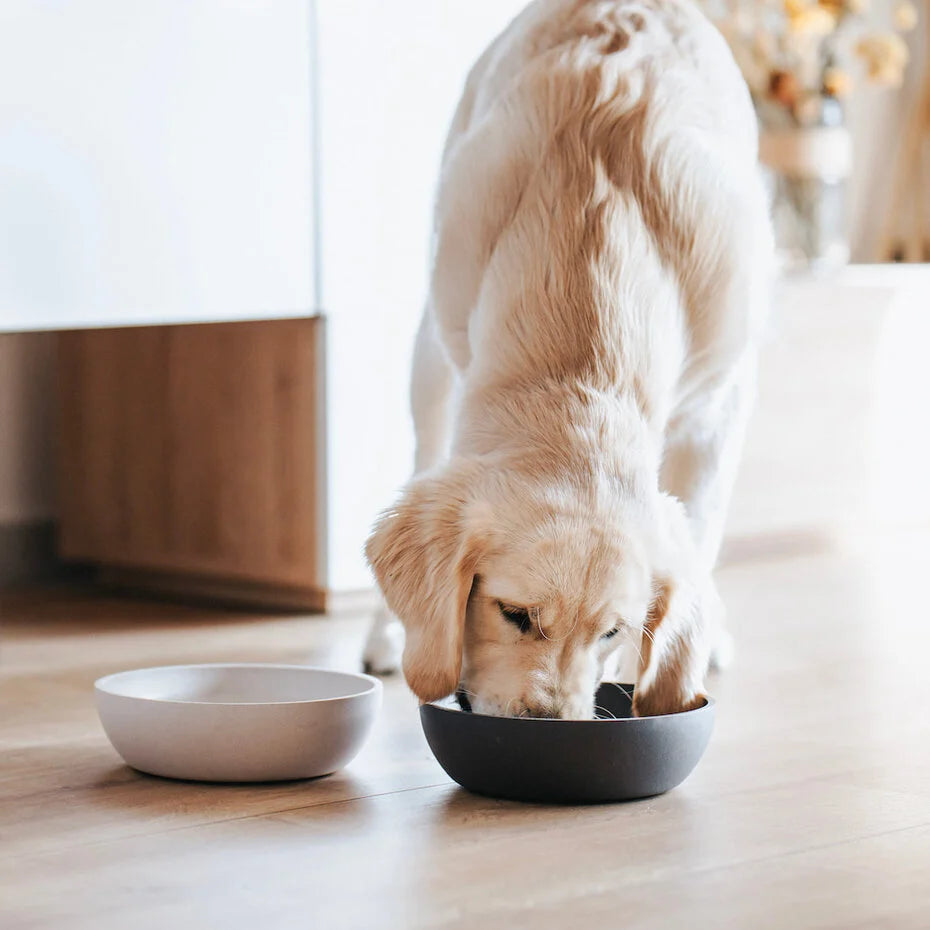 BAMBOE Voer- en waterbak voor Honden