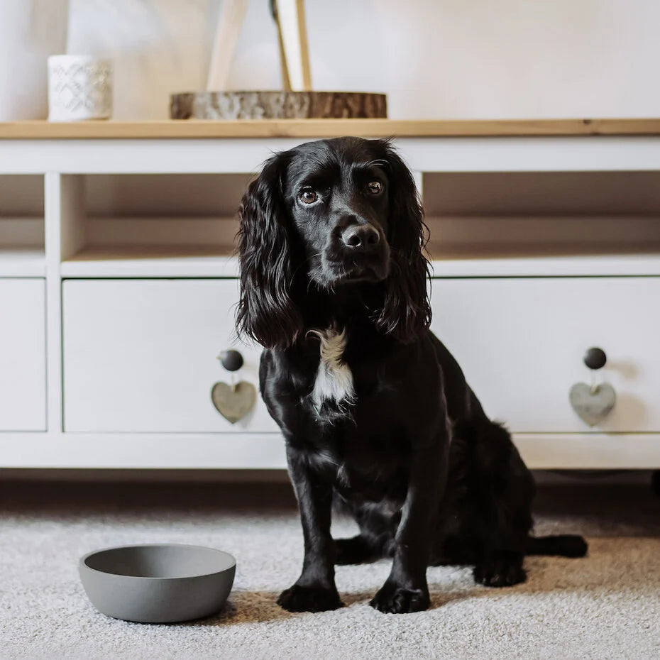 BAMBOE Voer- en waterbak voor Honden