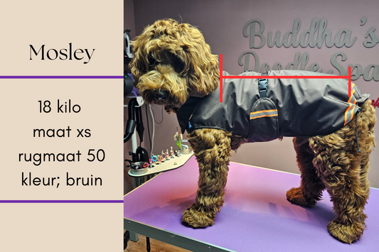 Super fur regen- & winterjas