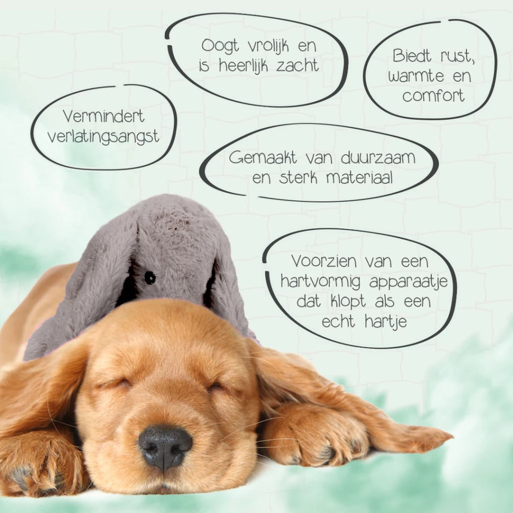 Cozy dog bunny