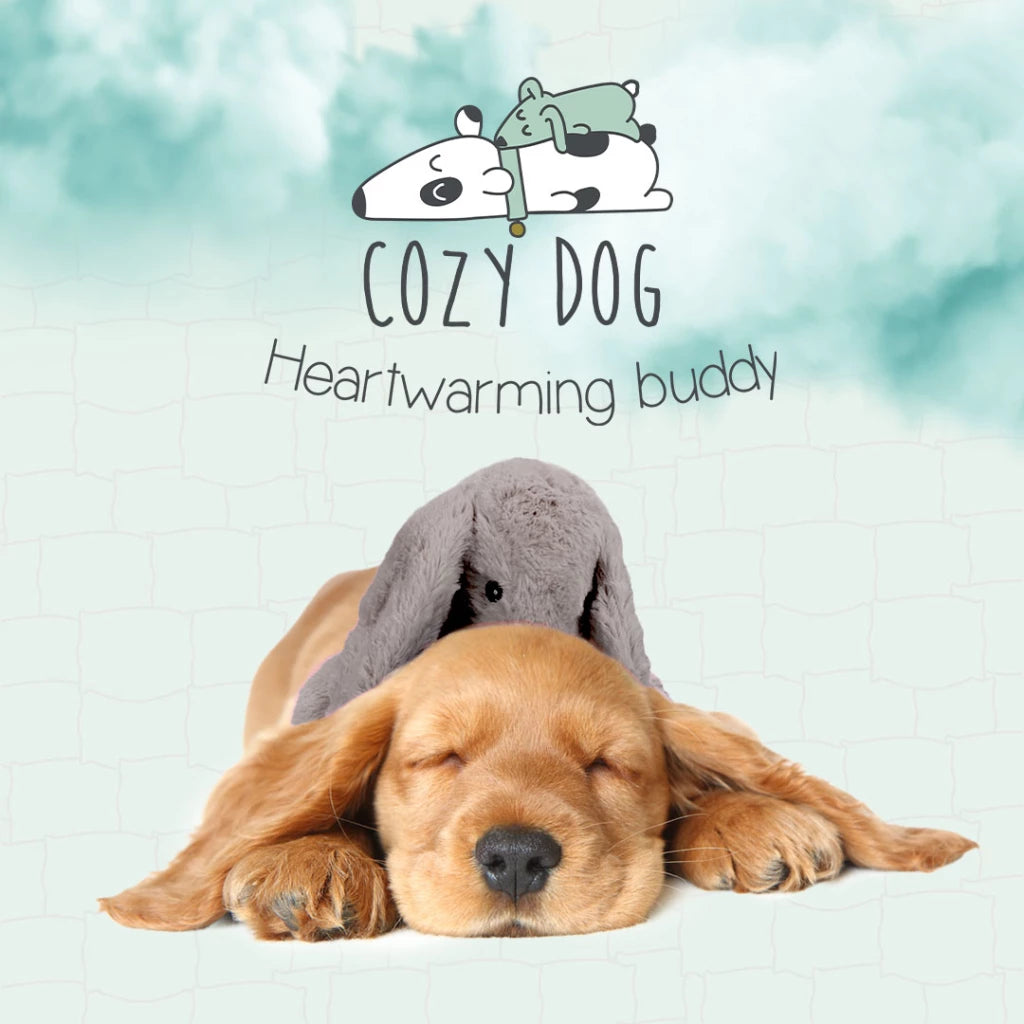 Cozy dog bunny