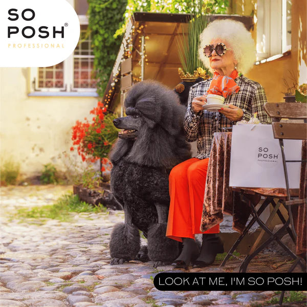 So Posh I'm So Fantastic Conditioner