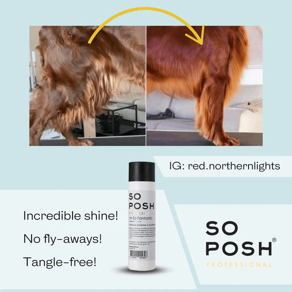 So Posh I'm So Fantastic Conditioner