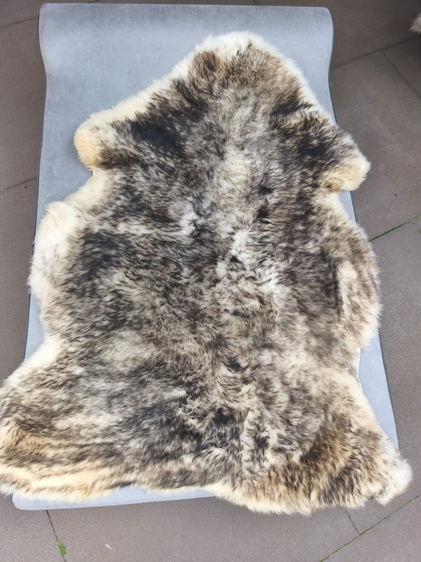 Schapenvacht Mouflon zwart 111*130 (C2)