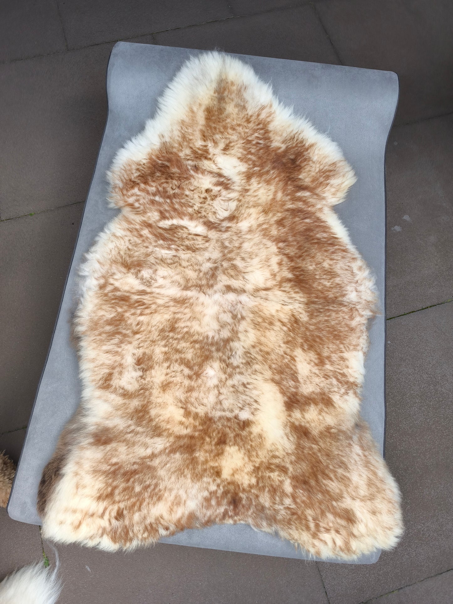 Schapenvacht Mouflon bruin 111*130 (B2)