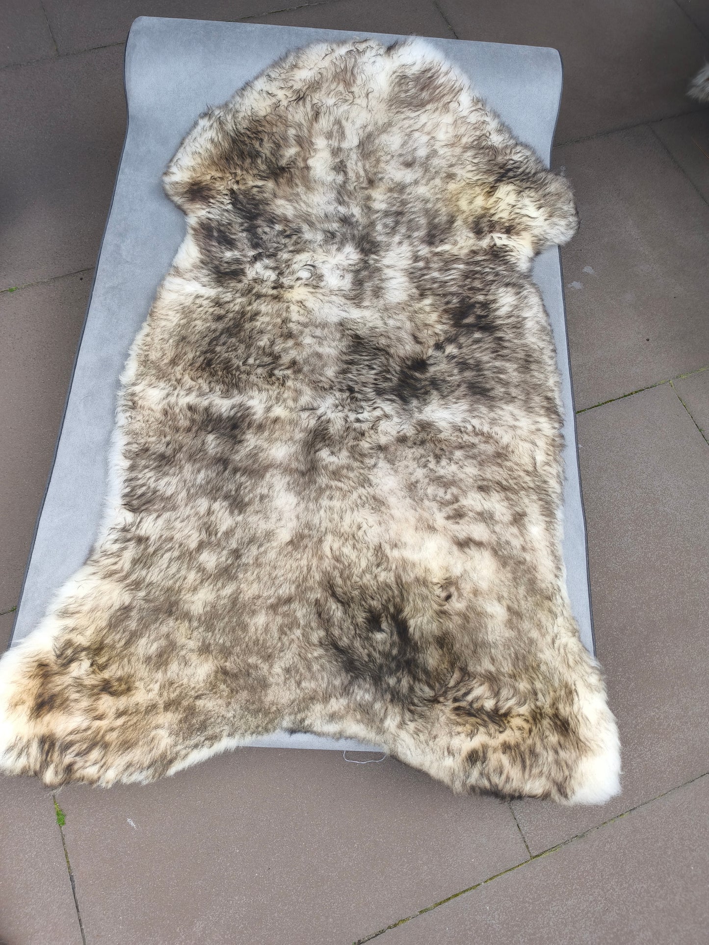 Schapenvacht Mouflon zwart 111*130 (C2)