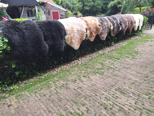 Schapenvacht Mouflon bruin 111*130 (B2)