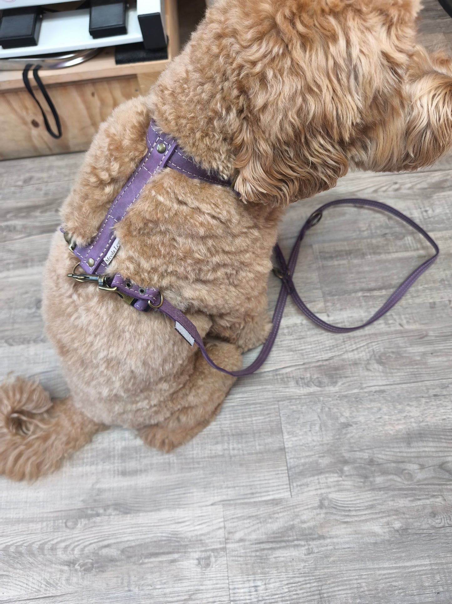 Y-tuigjes van leer incl. gratis online cursus