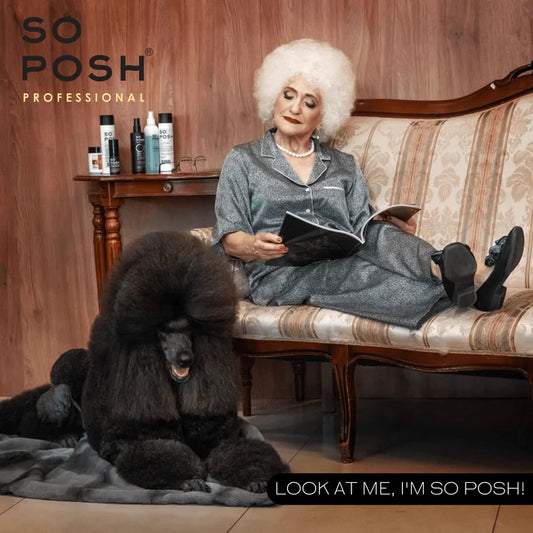 So Posh I'm So Black Shampoo