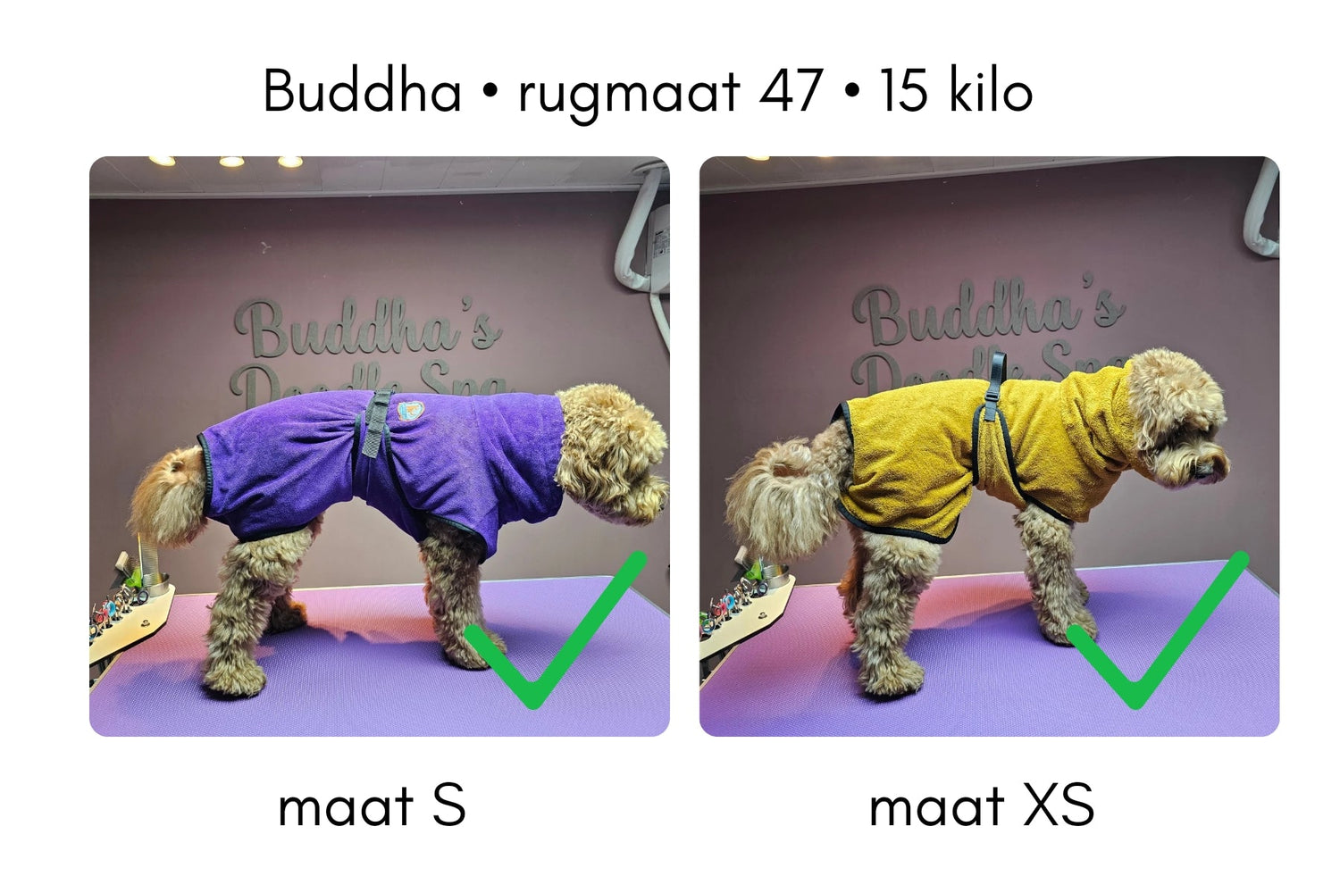 Luxe Badjassen voor jouw labradoodle