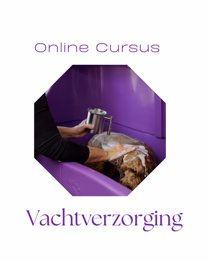 Vachtverzorging labradoodle online cursus
