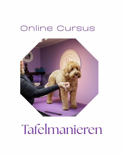 Online Table Manners Course