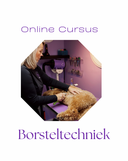 Online cursus Labradoodle borstelen