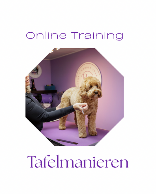 Online Training Tafelmanieren