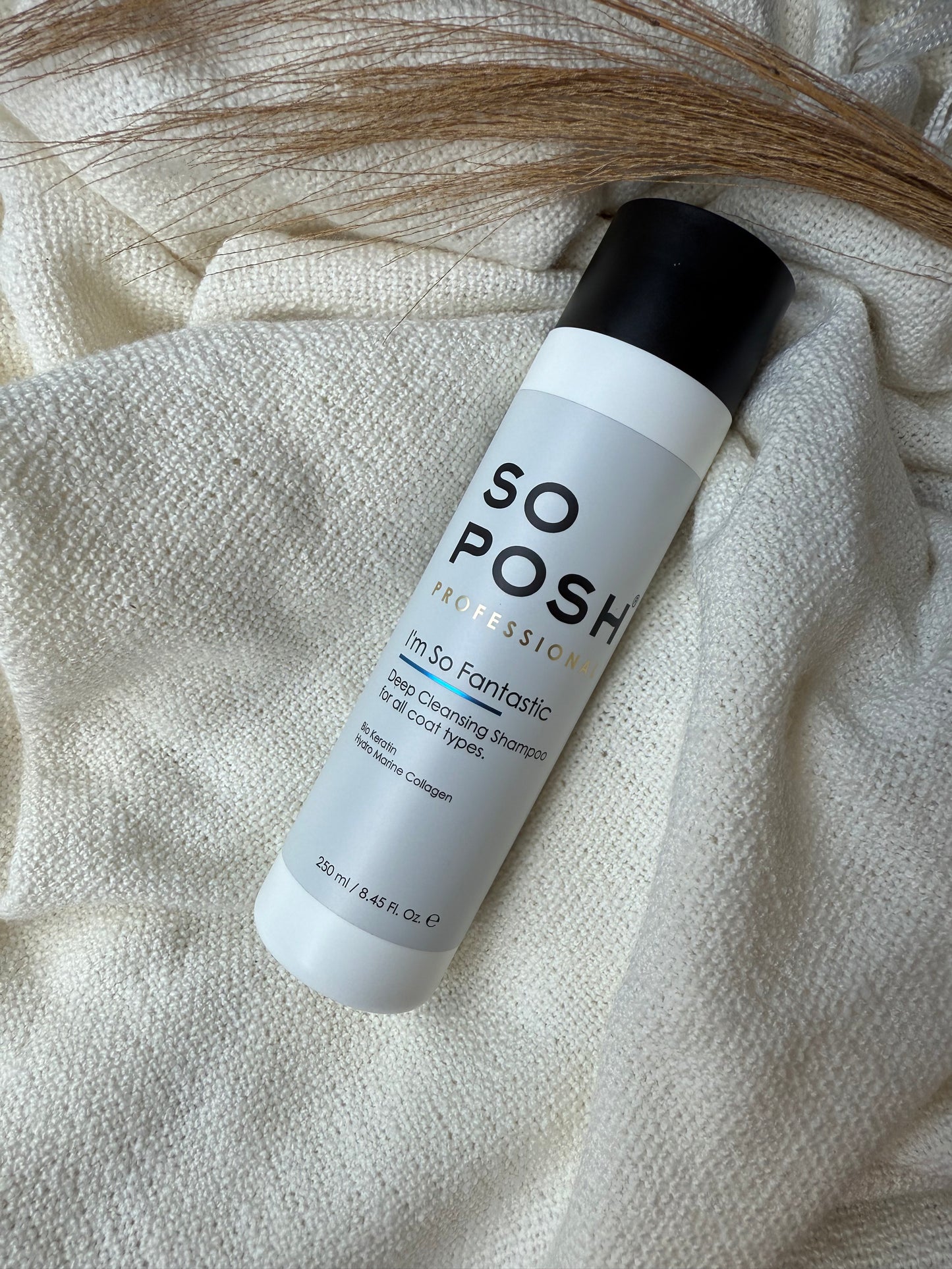 So Posh Shampoo – verschiedene Varianten 