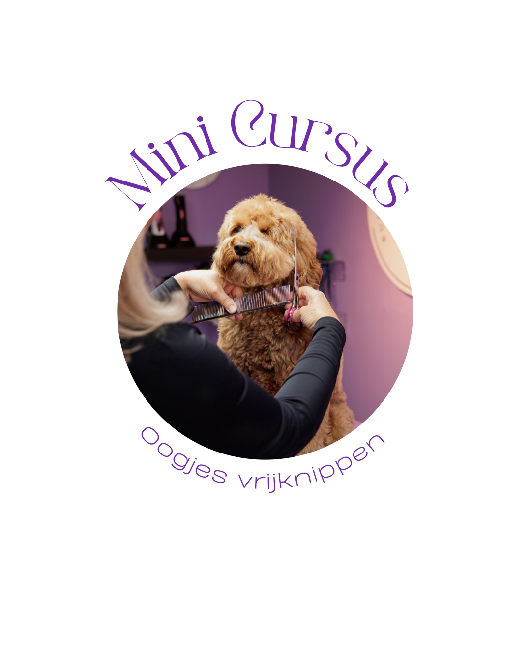 Mini Cursus | oogjes vrijknippen