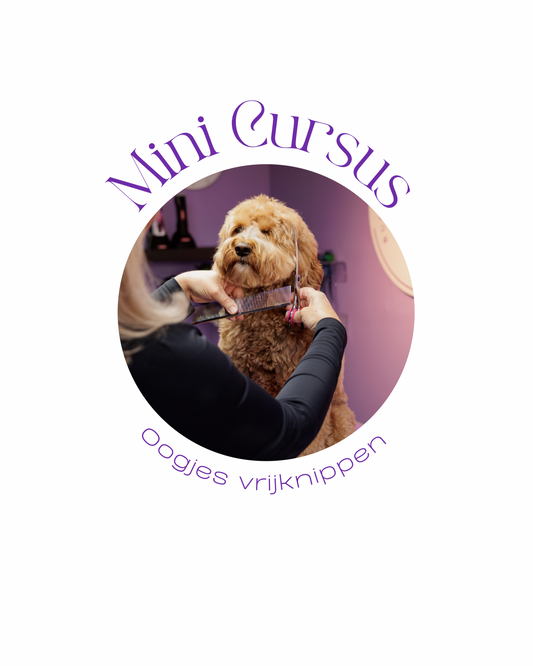 Mini Cursus | oogjes vrijknippen