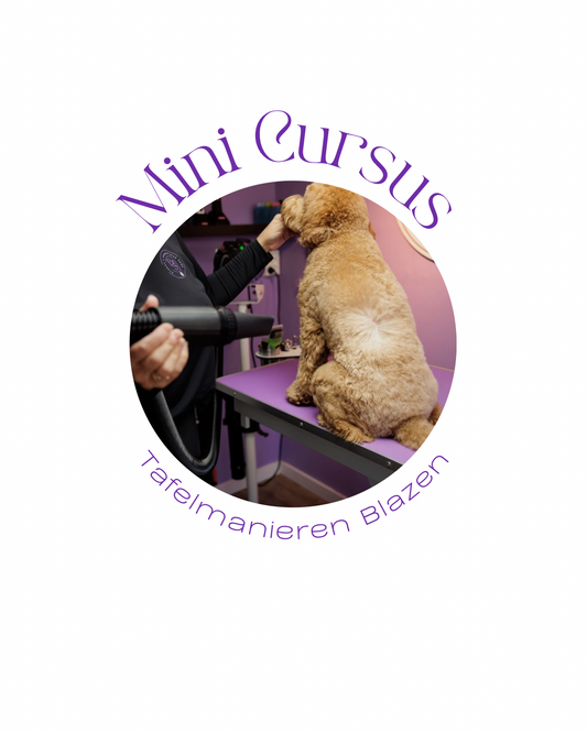 Mini cursus| Tafelmanieren blazen