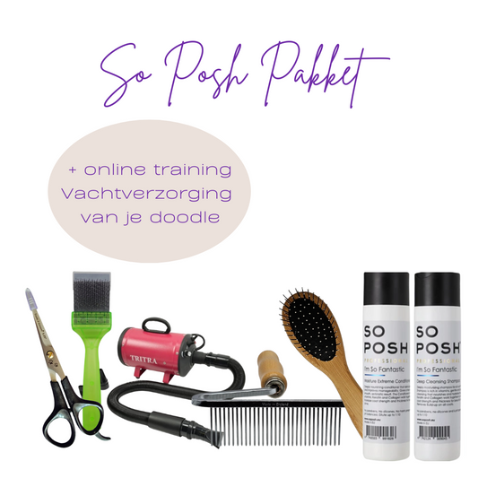 So Posh Doodle Set