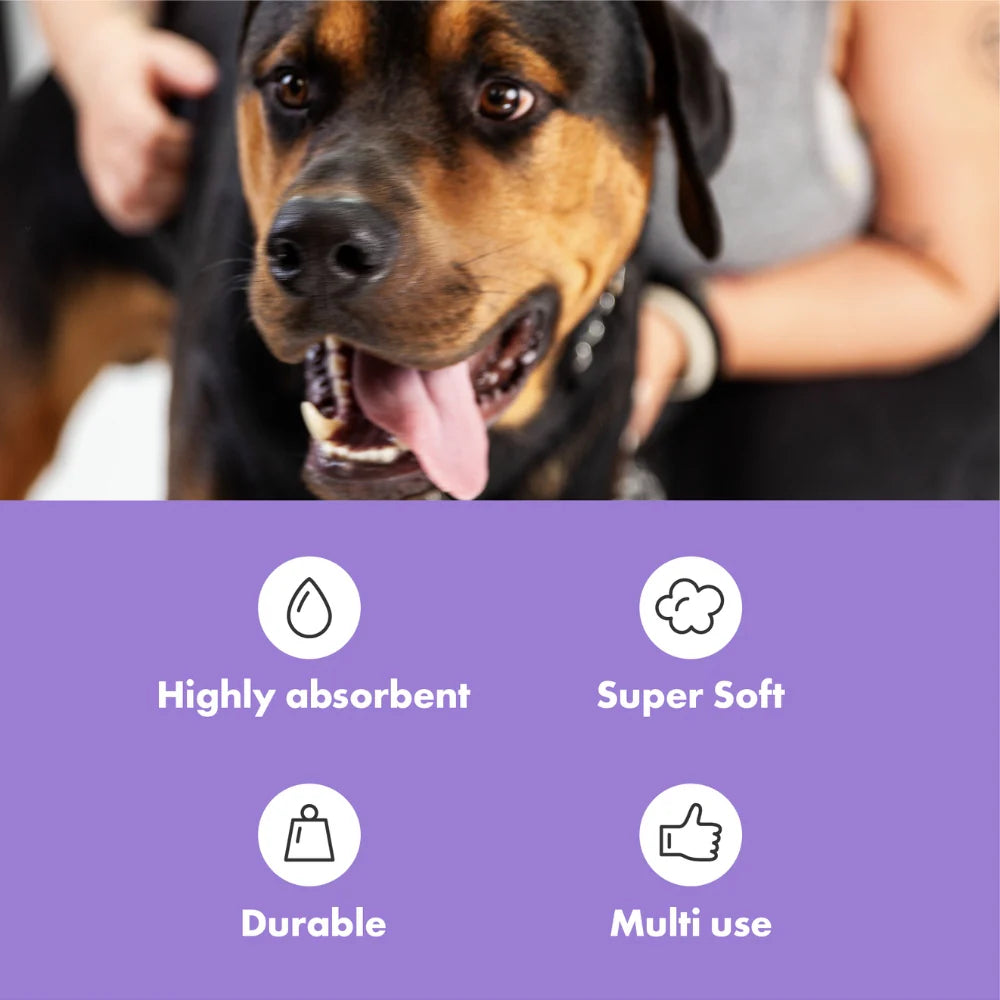 Öko-Mini-Hundehandtücher