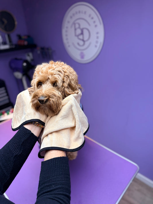 Microvezel handdoek 90x55cm