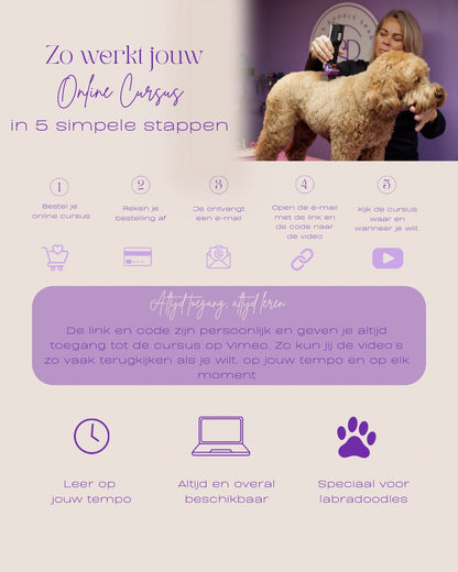 Online cursus kop Labradoodle knippen