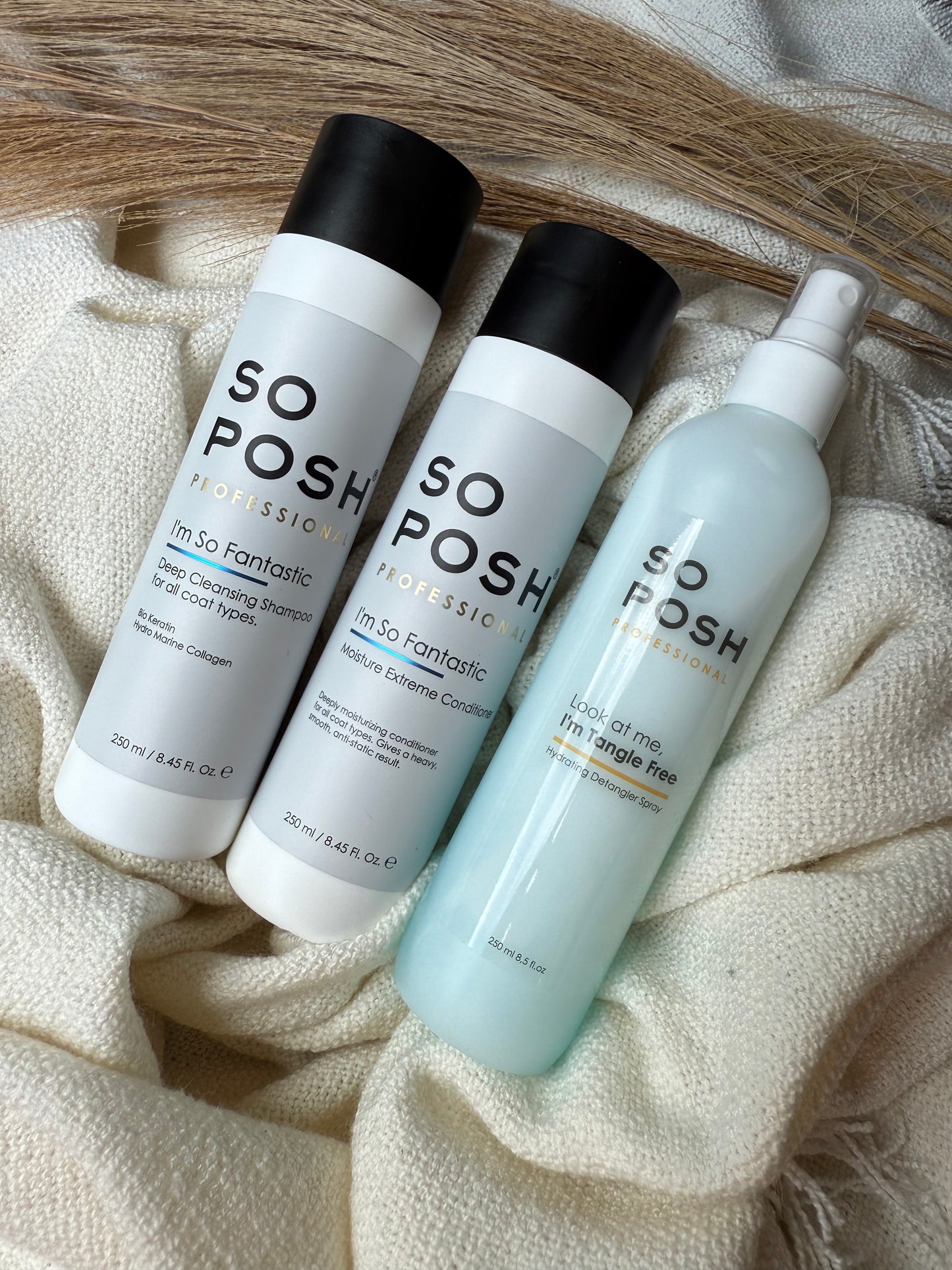 So Posh Trio