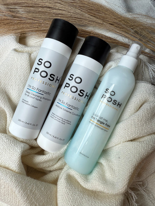 So Posh I'm So Fantastic Trio