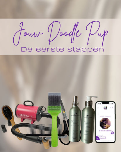 Your Doodle Puppy: The First Steps