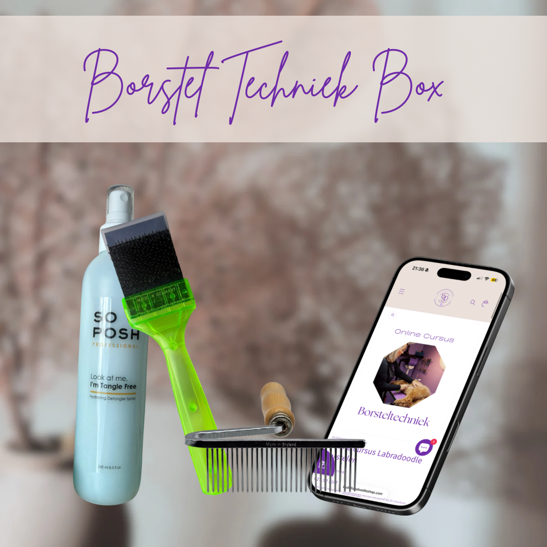 Borstel techniek box