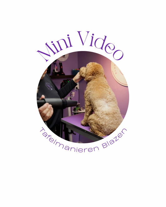 Mini Video - Tafelmanieren Blazen