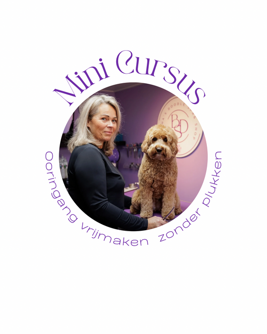 Mini curus| Ooringang vrijmaken zonder plukken