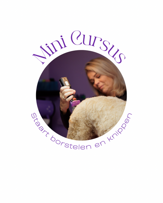 Mini Cursus | staart borstelen en knippen