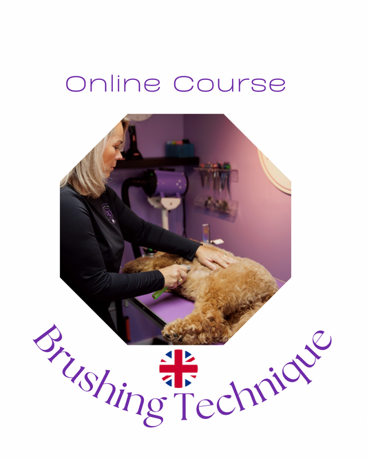 Online Course - Brushing Technique