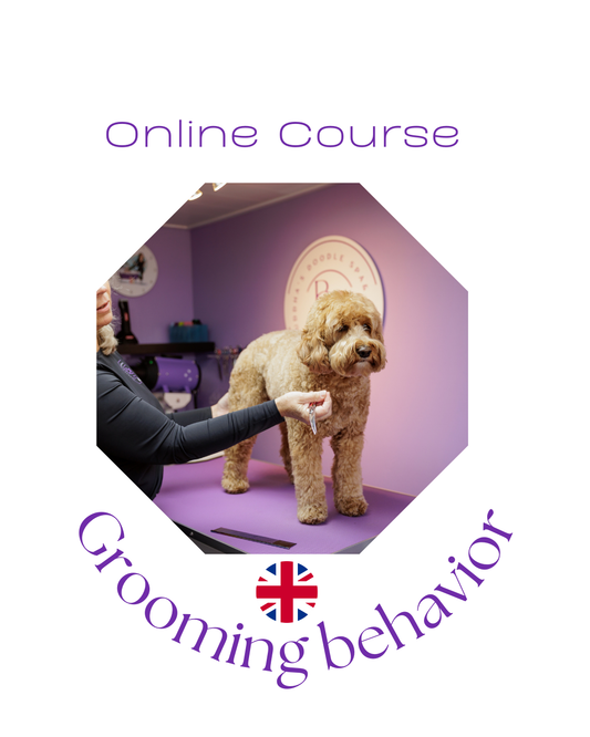 Online-Kurs – Fellpflegeverhalten