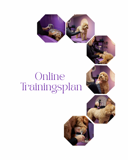 Online trainingsplan