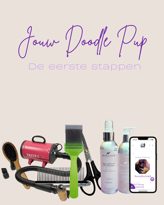 Jouw Doodle Pup: De Eerste Stappen
