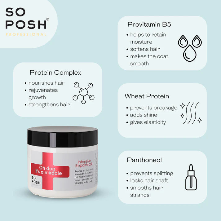 So Posh Oh Dog It's A Miracle Intensive Repair Mask