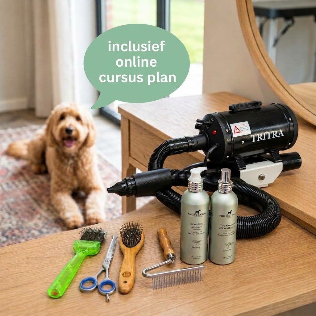 Wash and Dry bundle 