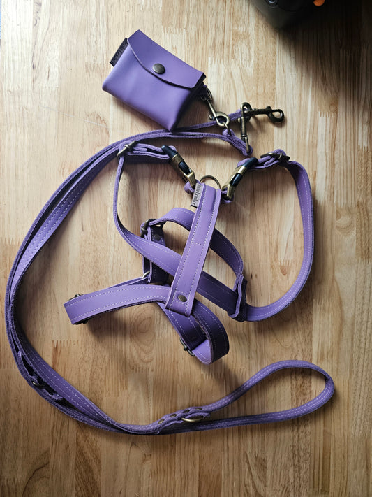 Leren set Y-tuig inclusief leren lijn